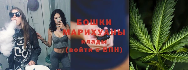 сатива Вяземский