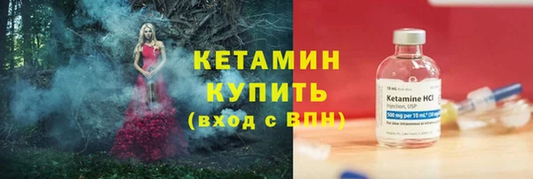 сатива Вяземский