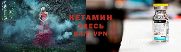 сатива Вяземский