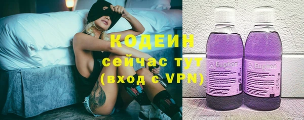 сатива Вяземский