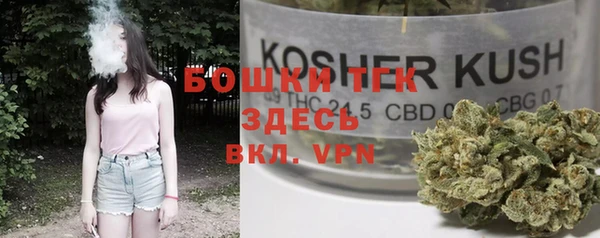 гашик Вязники