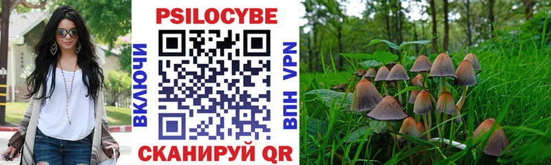 Псилоцибиновые грибы мухоморы  дарнет шоп  Горно-Алтайск 